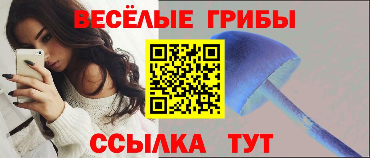 Псилоцибиновые грибы мухоморы  Галлюциногенные грибы GOLDEN TEACHER  Муром  Вход с VPN 